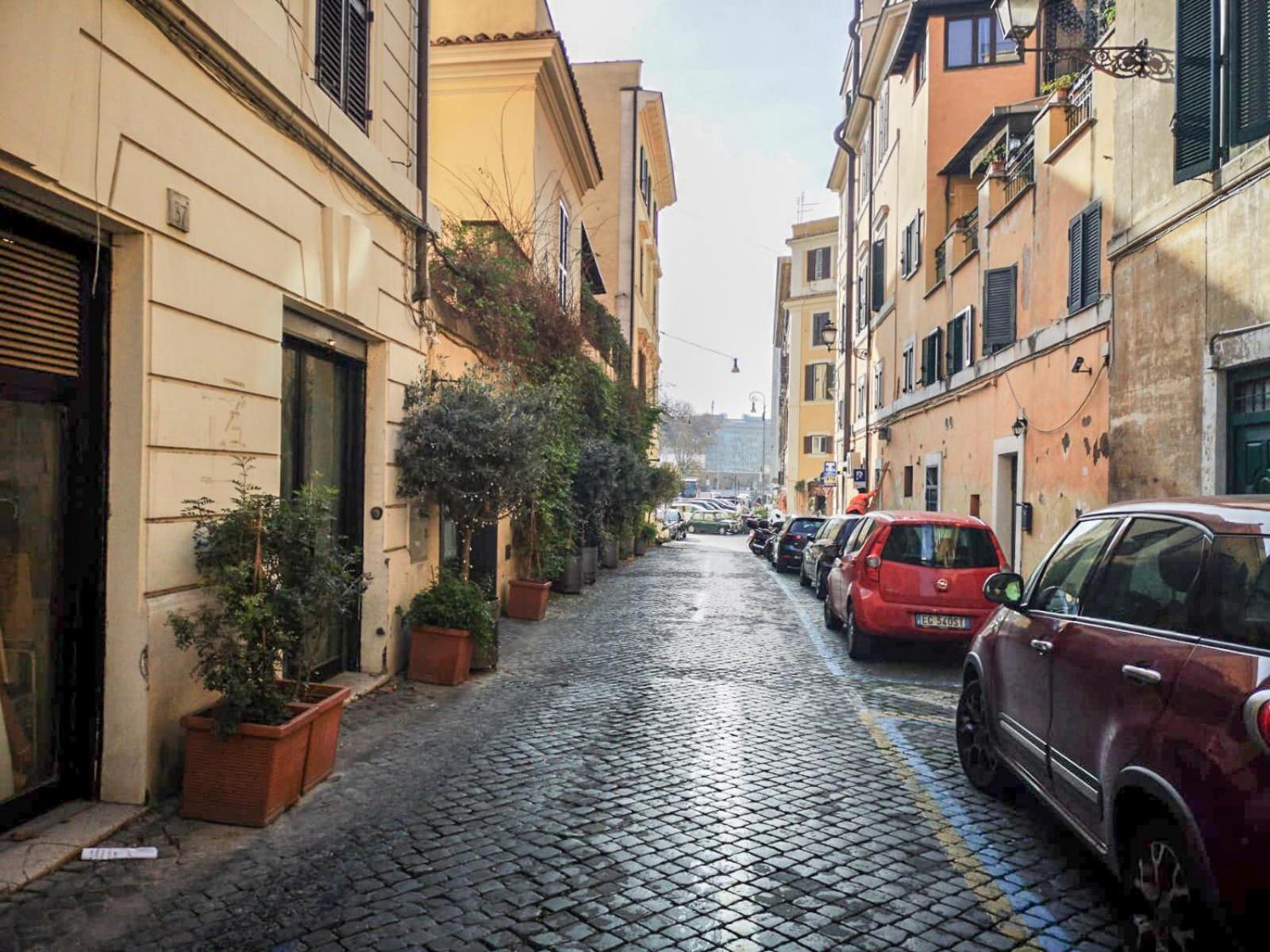 Flatinrome Trastevere Deluxe Rooms - Green Patio Luaran gambar